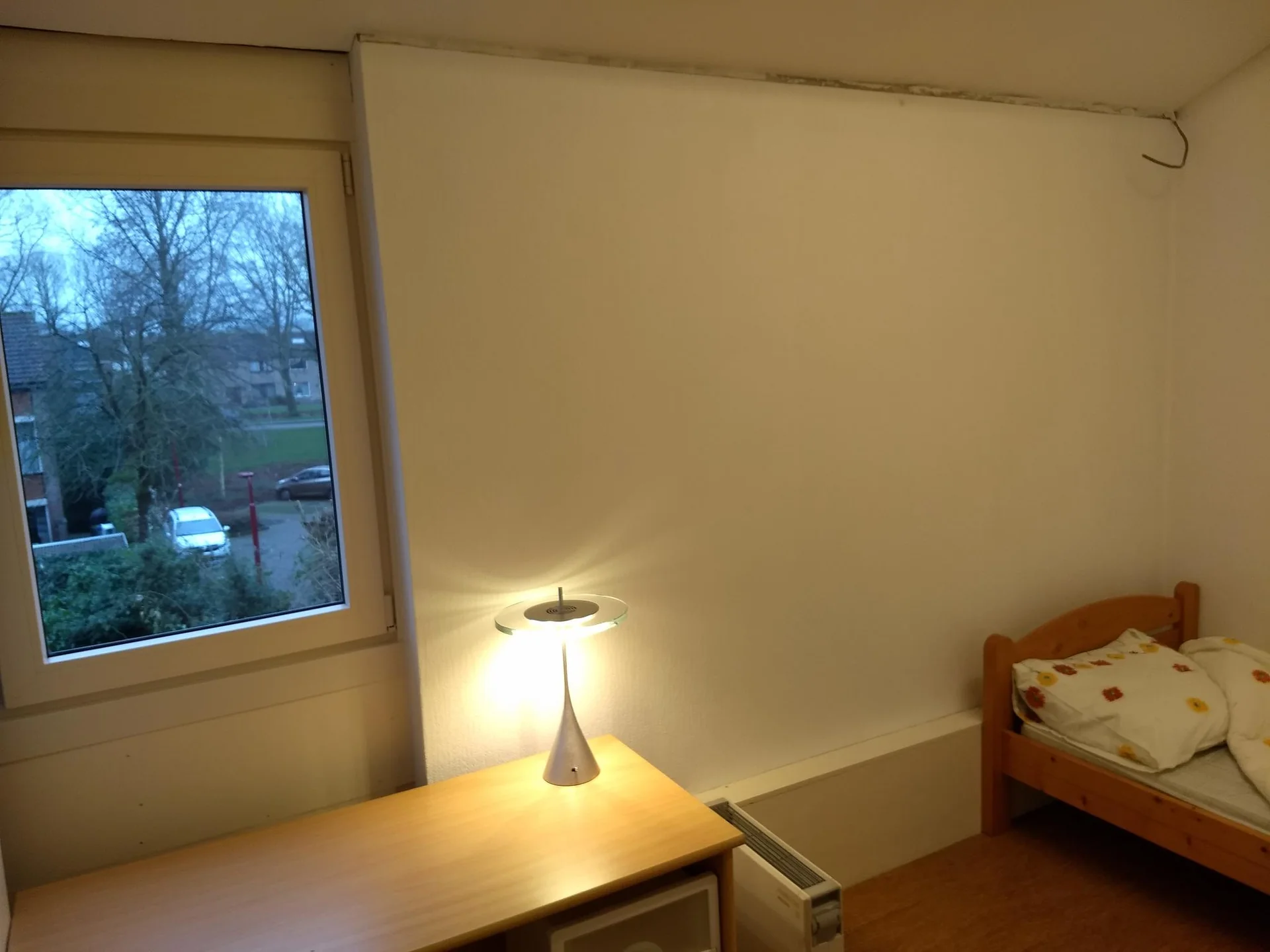 geblurde versie van de foto als achtergrond