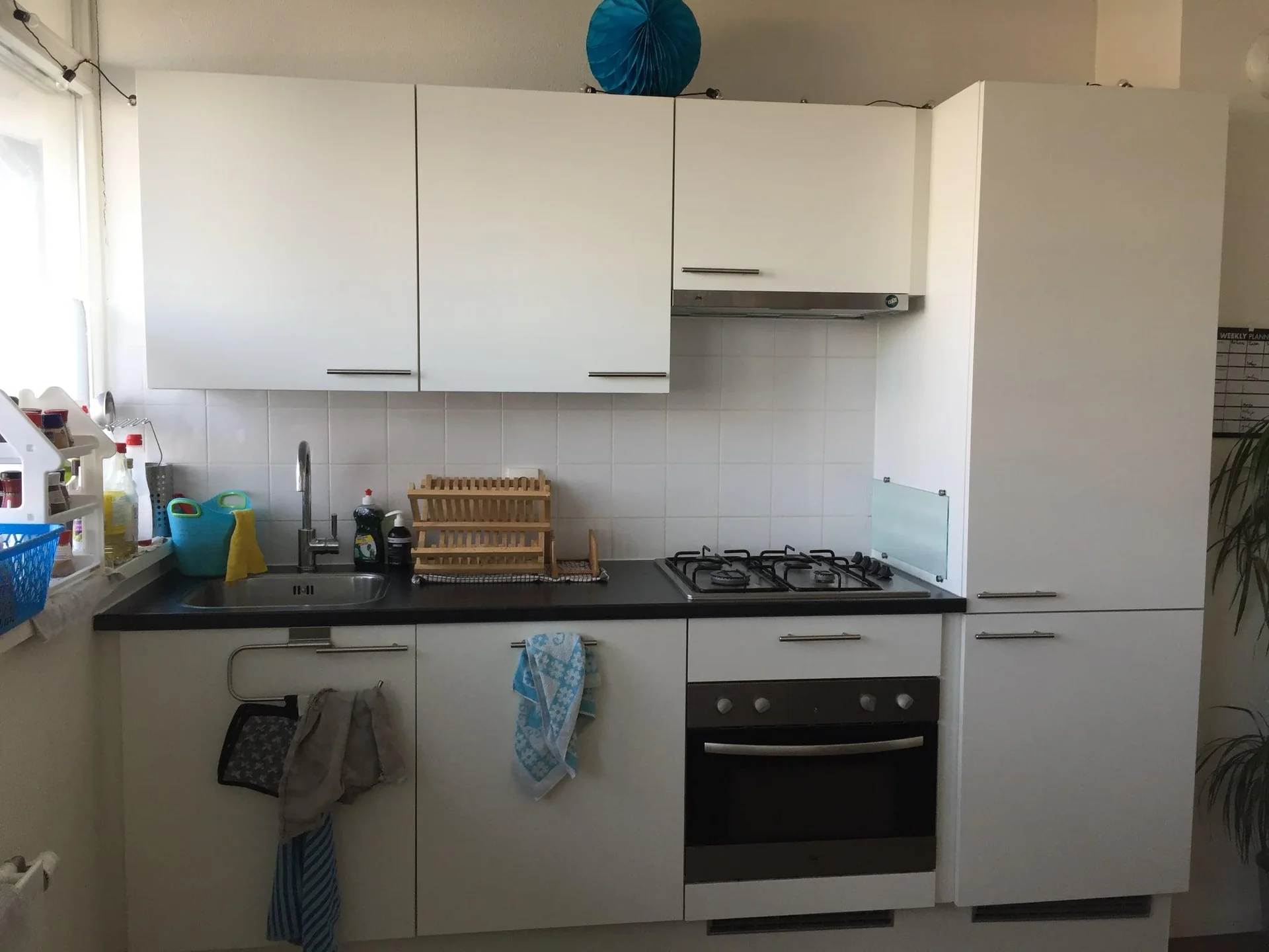 geblurde versie van de foto als achtergrond