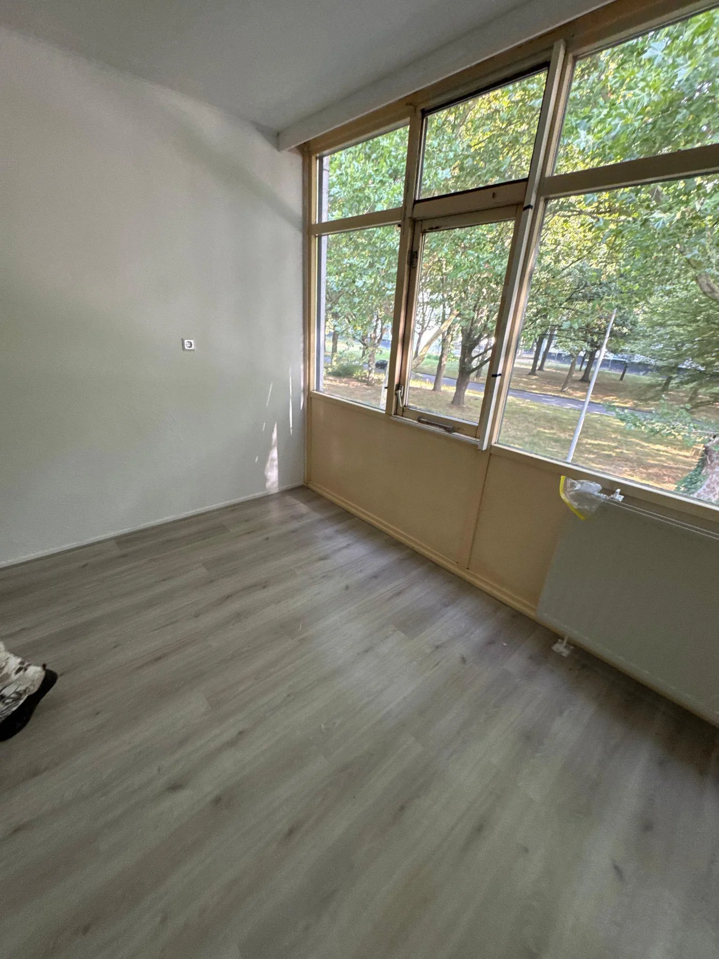 geblurde versie van de foto als achtergrond