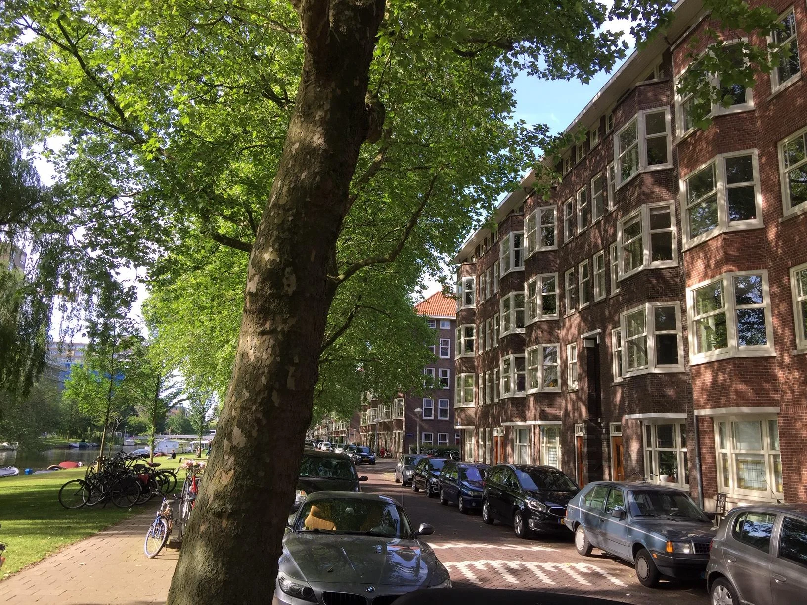 geblurde versie van de foto als achtergrond