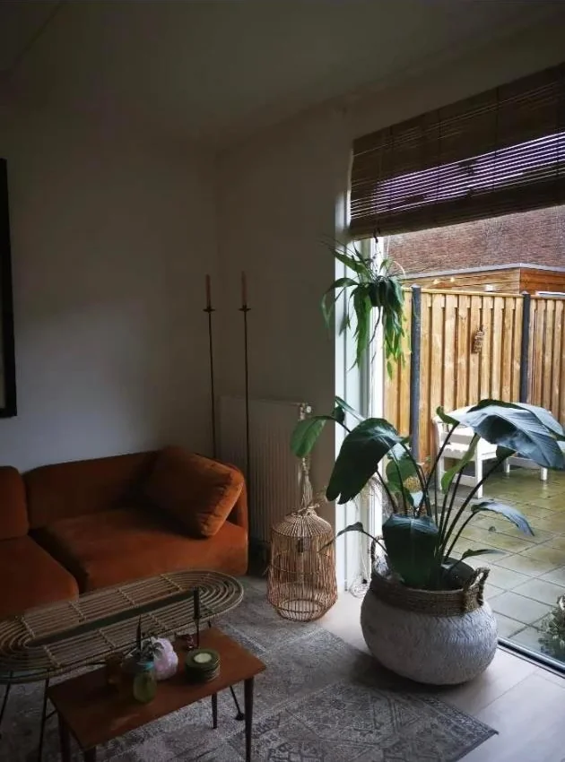 geblurde versie van de foto als achtergrond