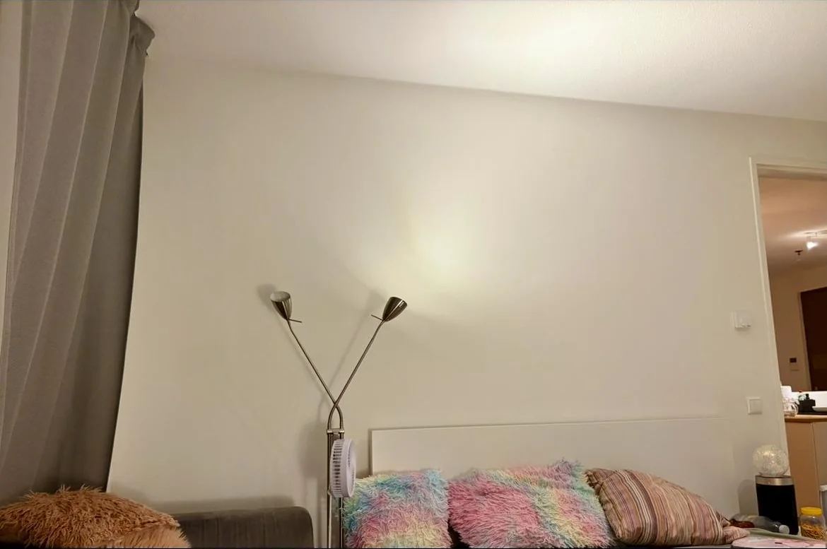 geblurde versie van de foto als achtergrond