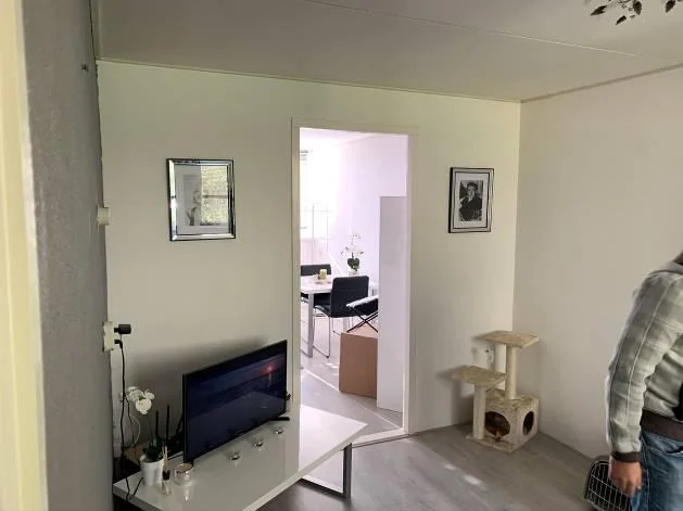 geblurde versie van de foto als achtergrond