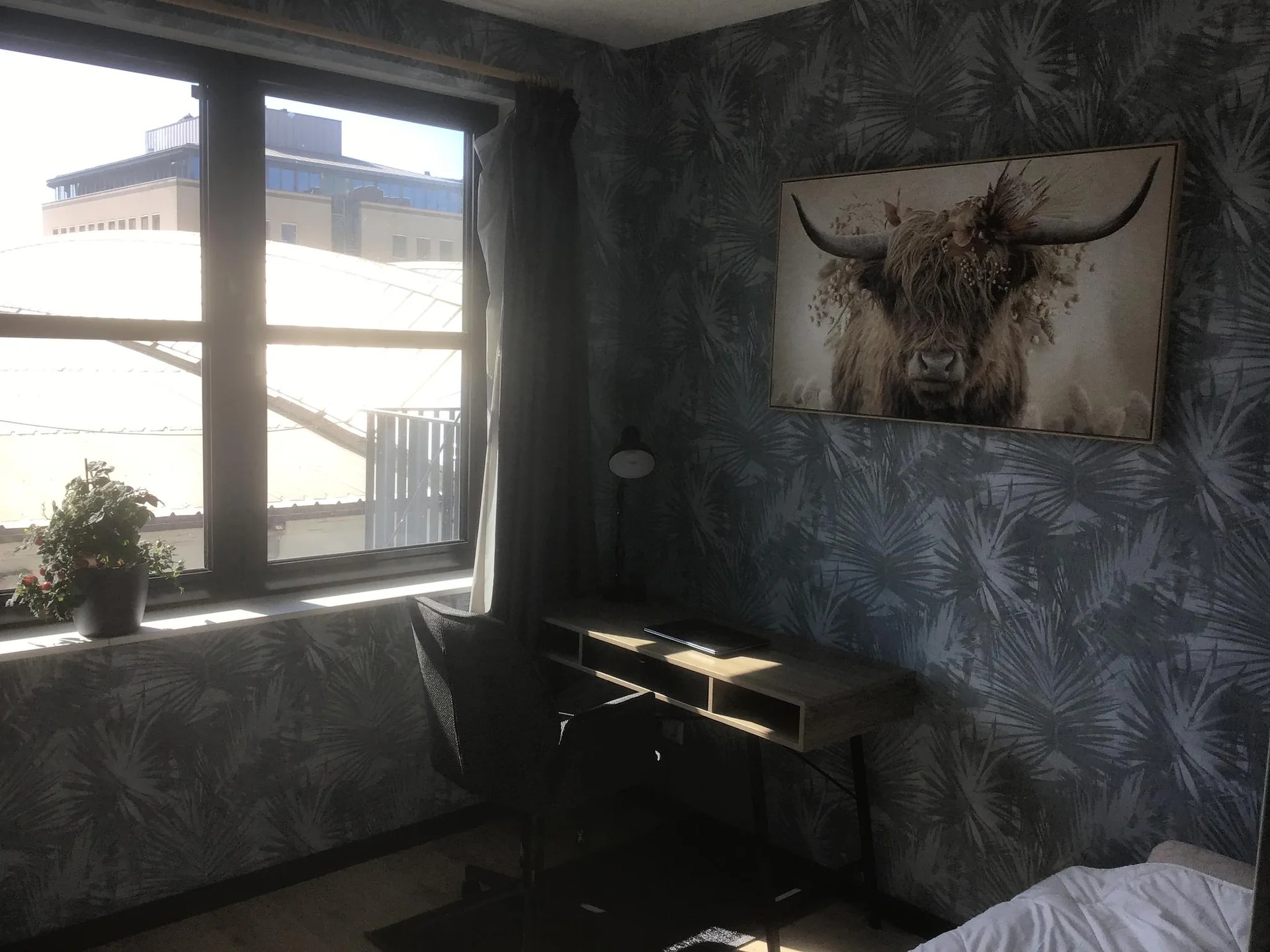 geblurde versie van de foto als achtergrond