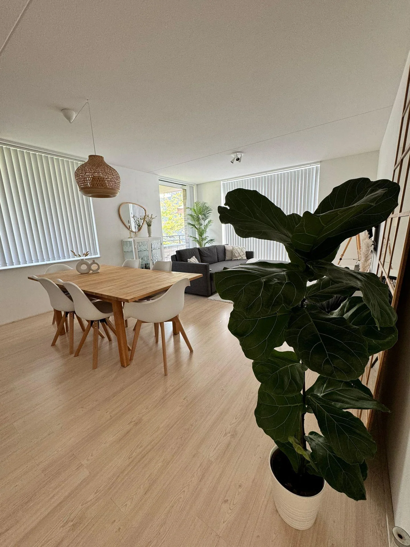 geblurde versie van de foto als achtergrond