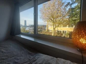 geblurde versie van de foto als achtergrond