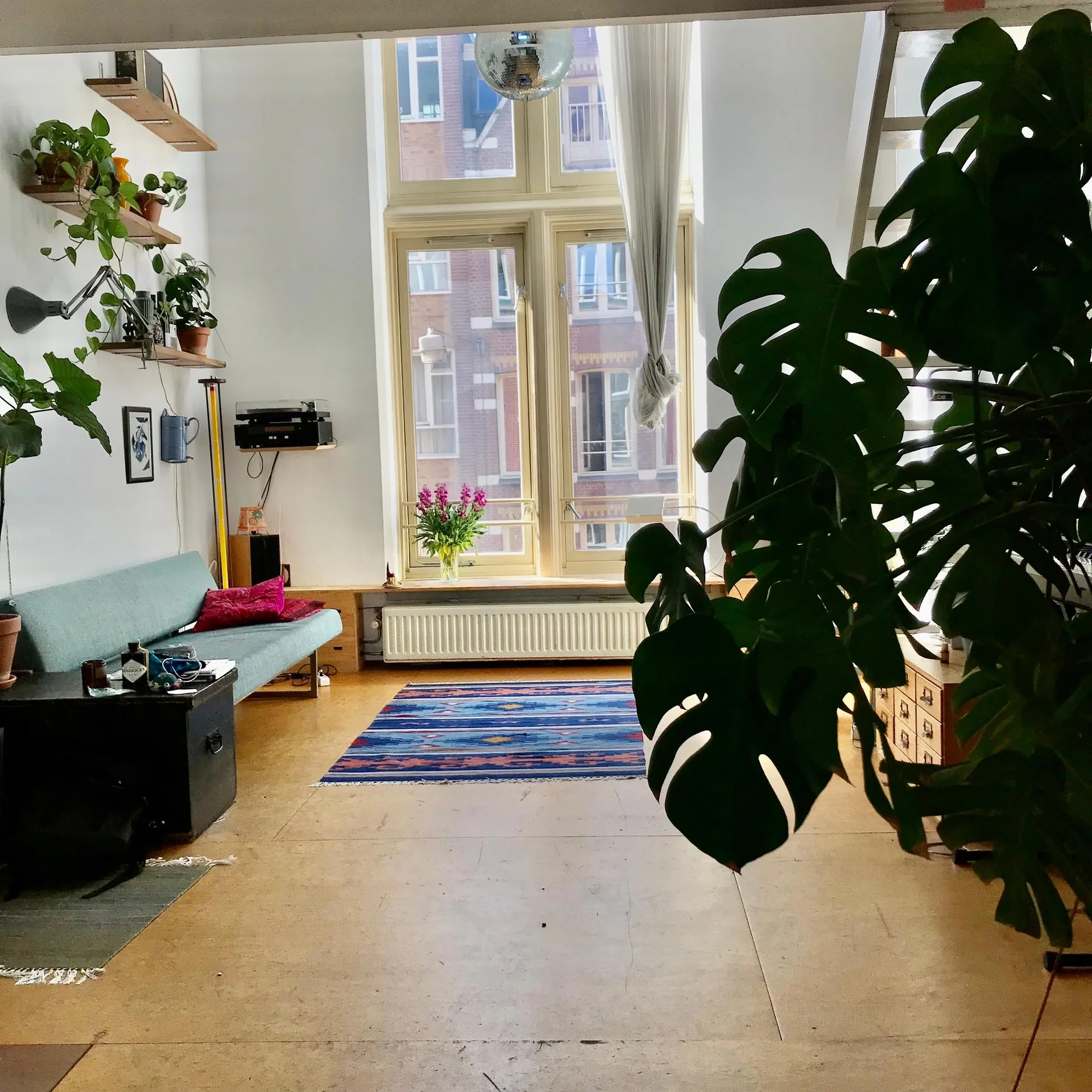 geblurde versie van de foto als achtergrond