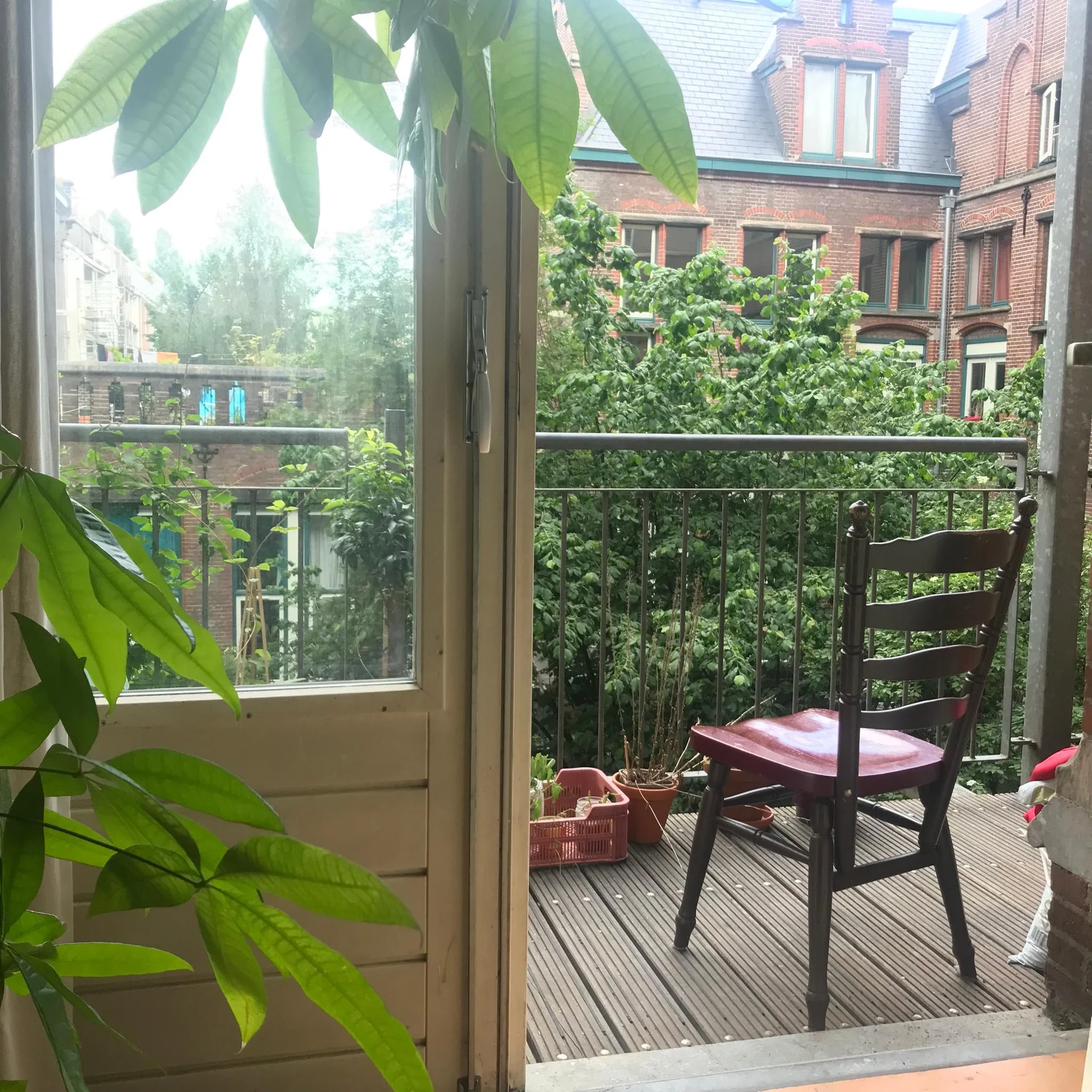 geblurde versie van de foto als achtergrond