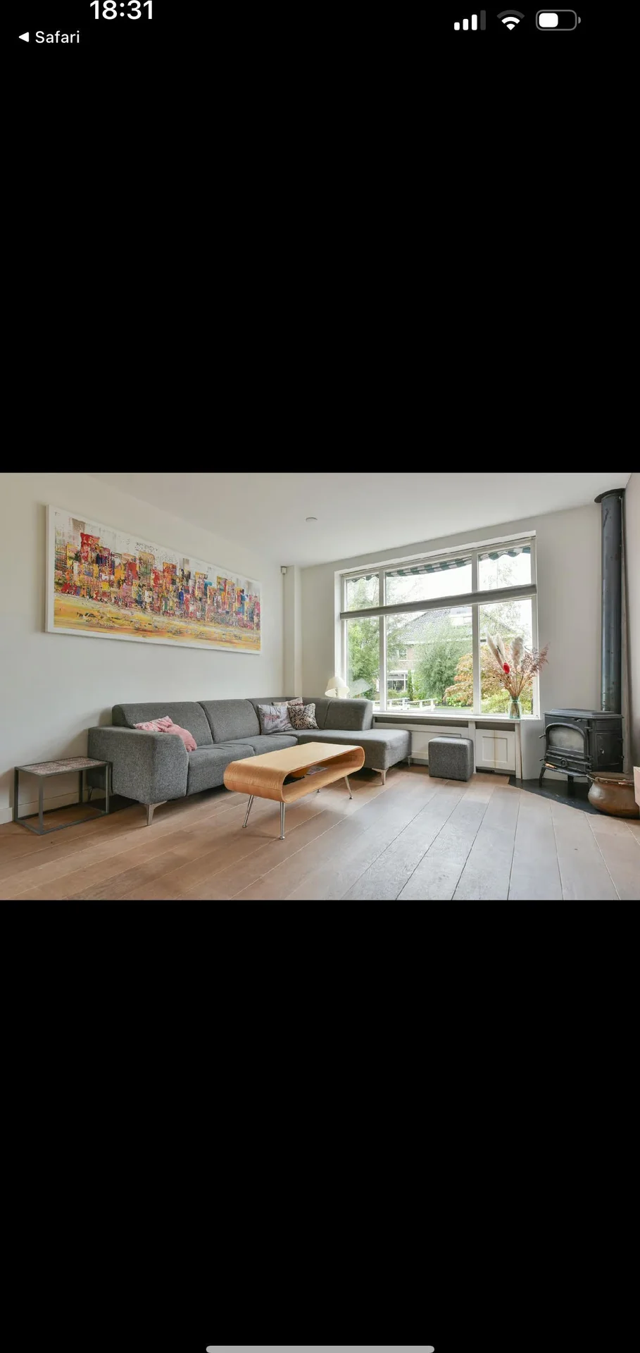 geblurde versie van de foto als achtergrond