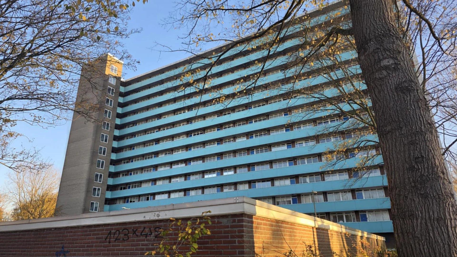 geblurde versie van de foto als achtergrond