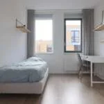 geblurde versie van de foto als achtergrond