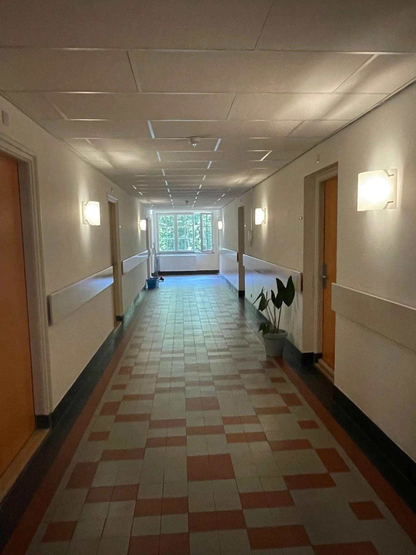 geblurde versie van de foto als achtergrond