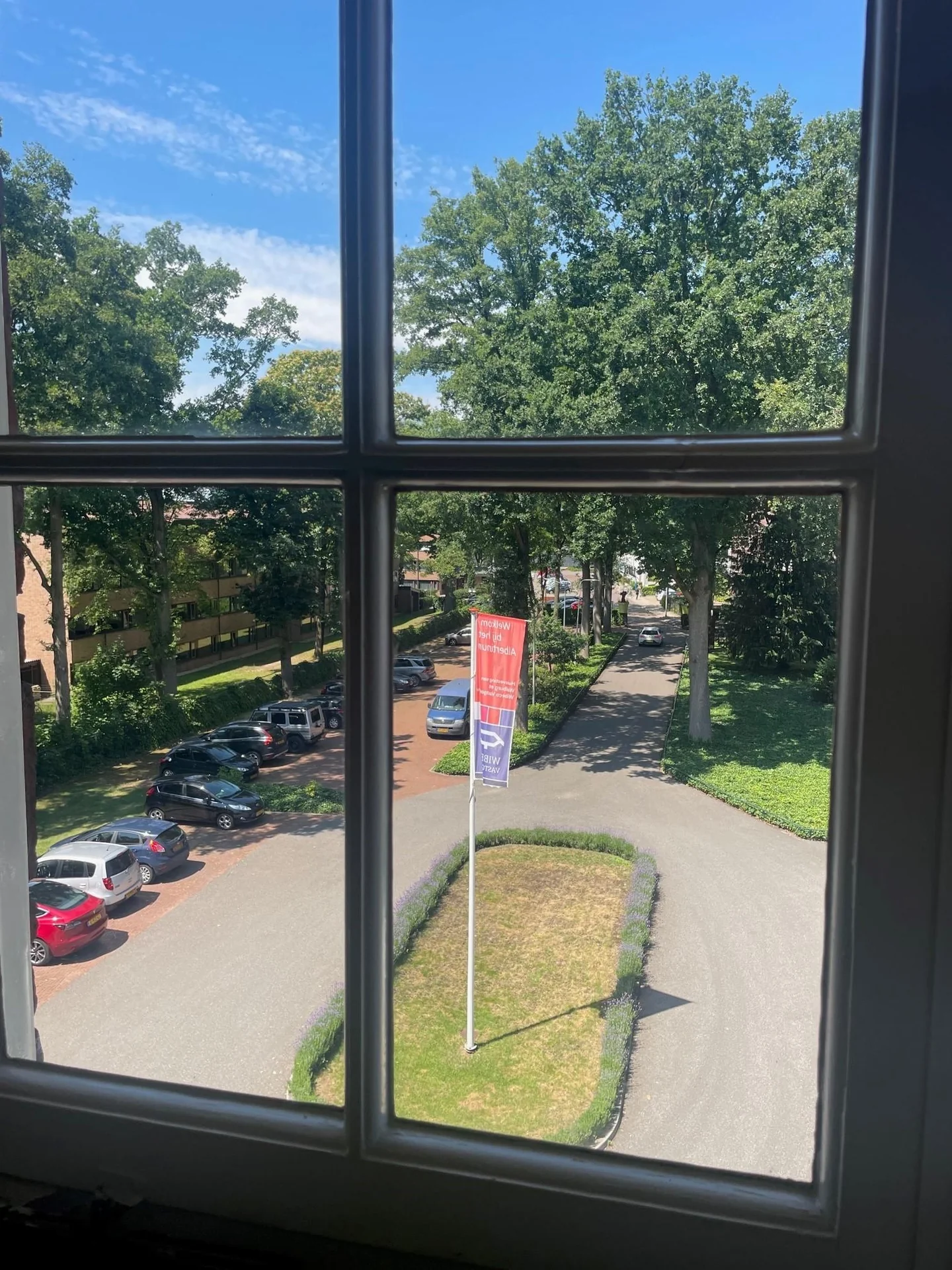 geblurde versie van de foto als achtergrond