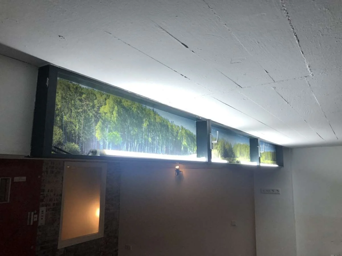 geblurde versie van de foto als achtergrond