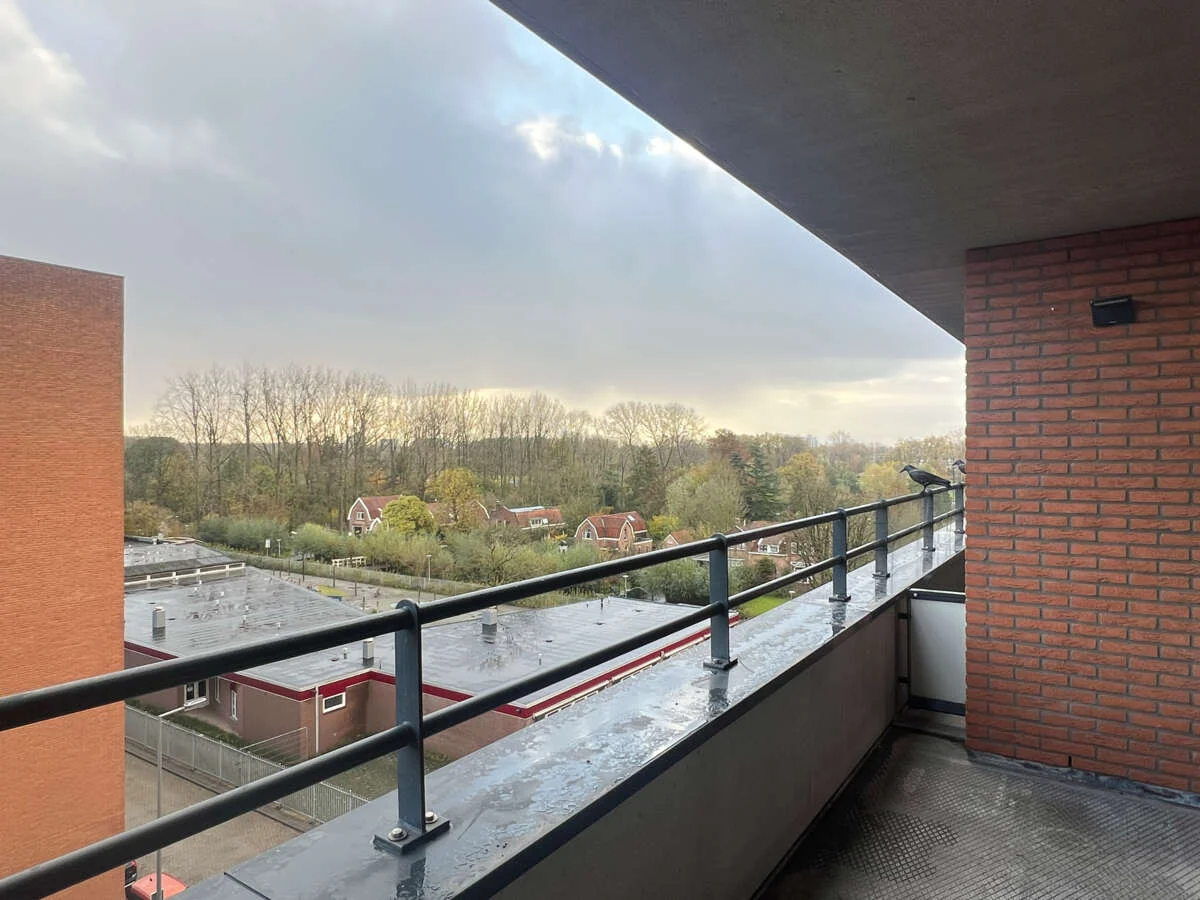 geblurde versie van de foto als achtergrond