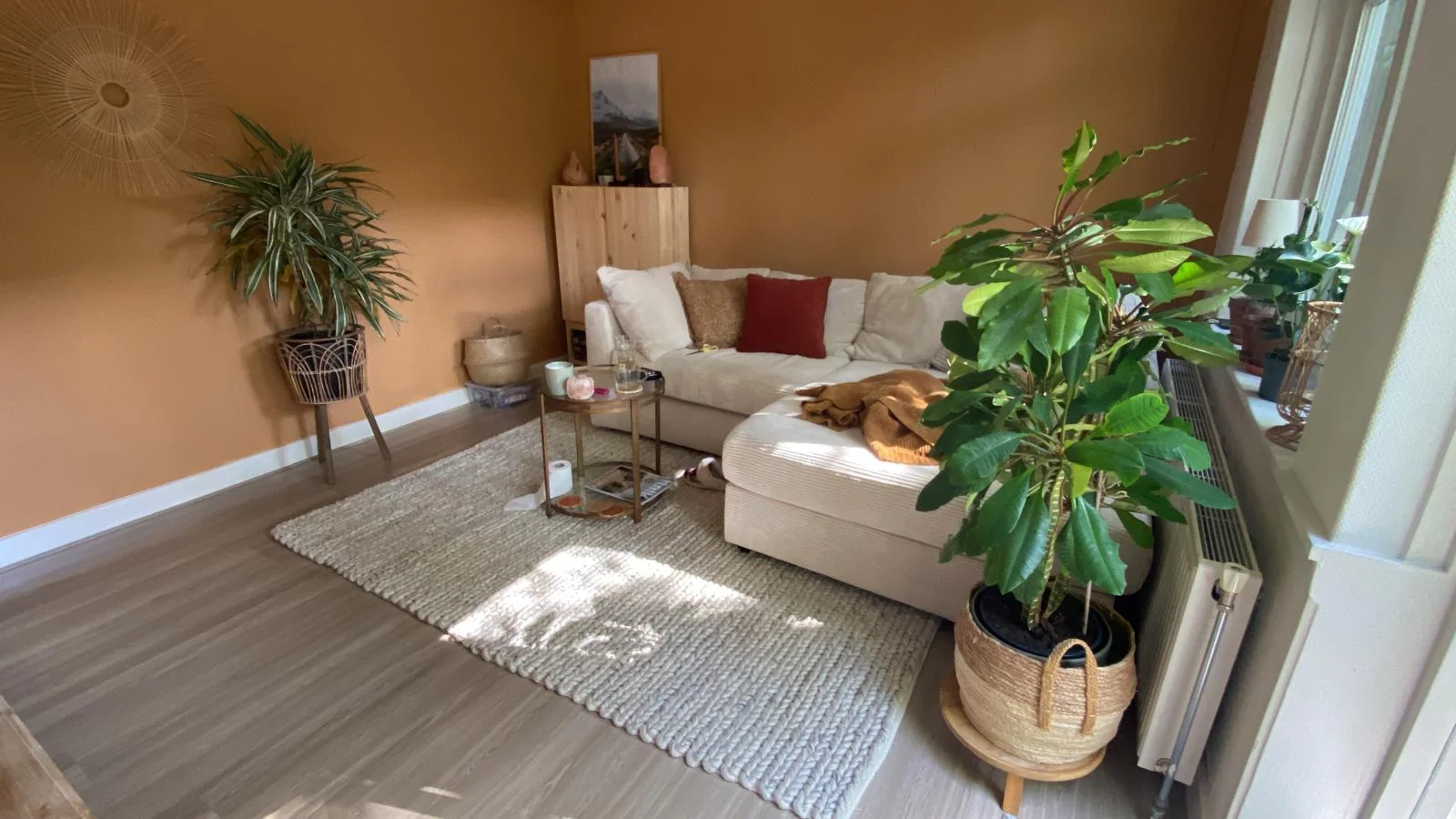 geblurde versie van de foto als achtergrond