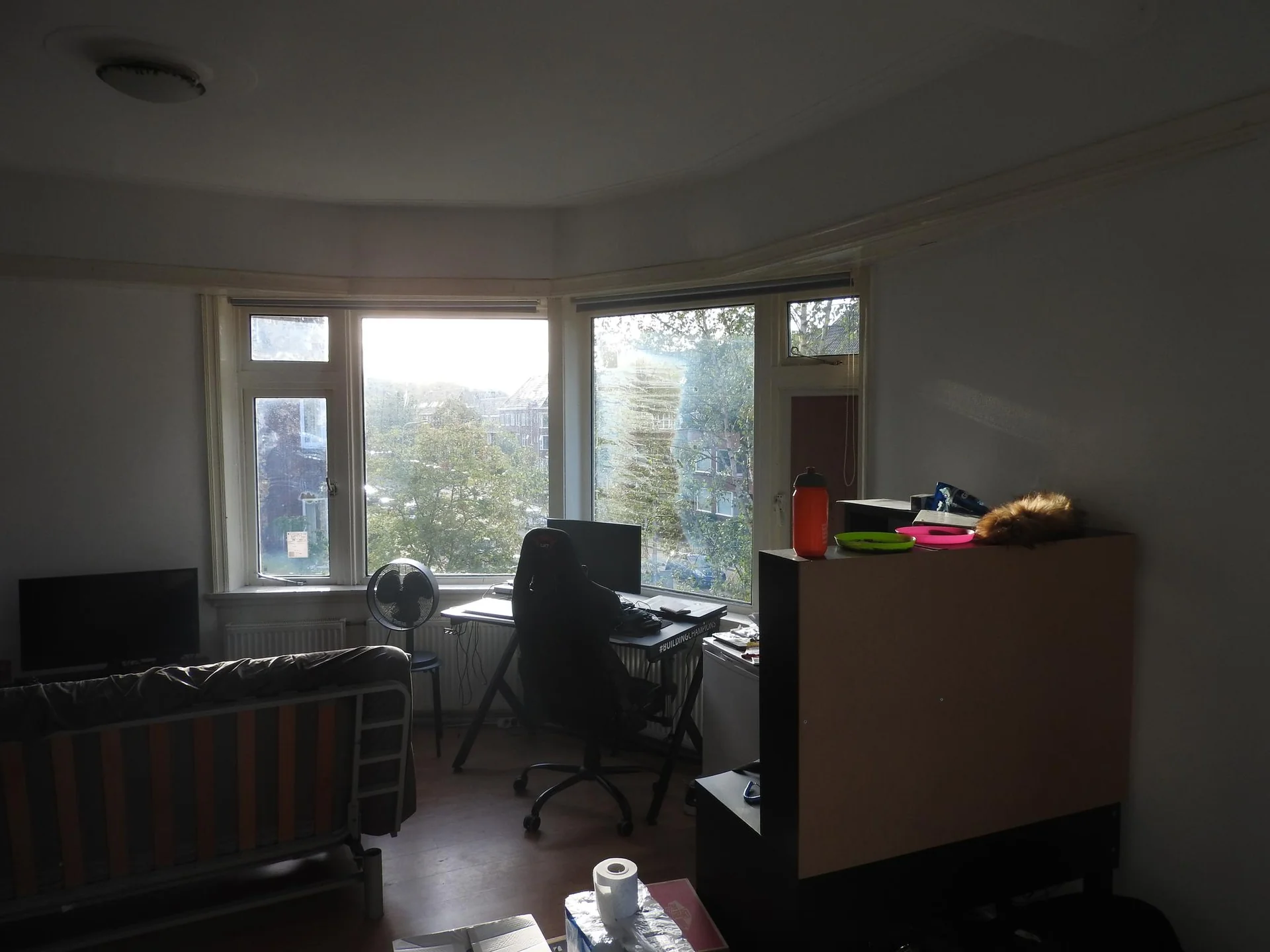 geblurde versie van de foto als achtergrond