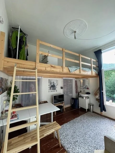 geblurde versie van de foto als achtergrond