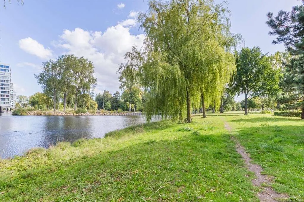 geblurde versie van de foto als achtergrond