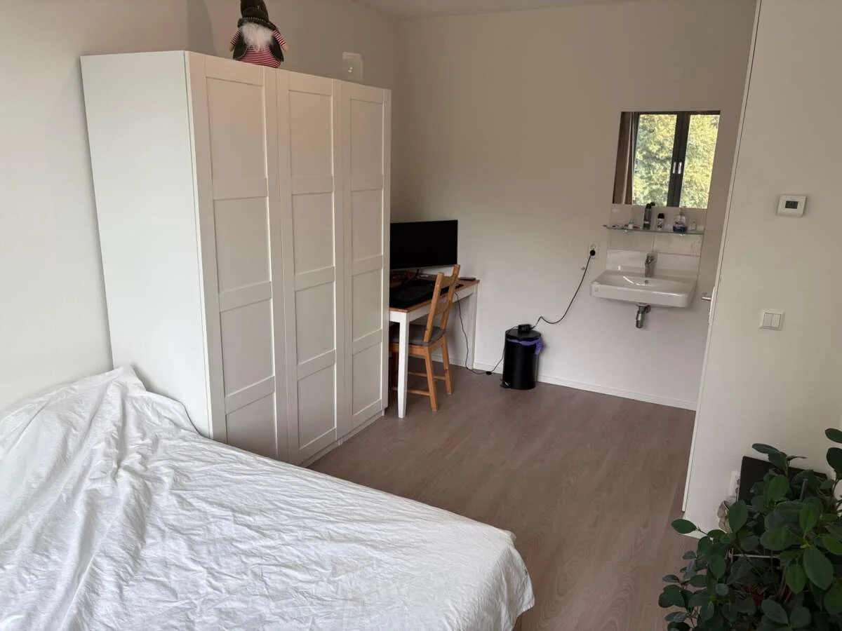 geblurde versie van de foto als achtergrond