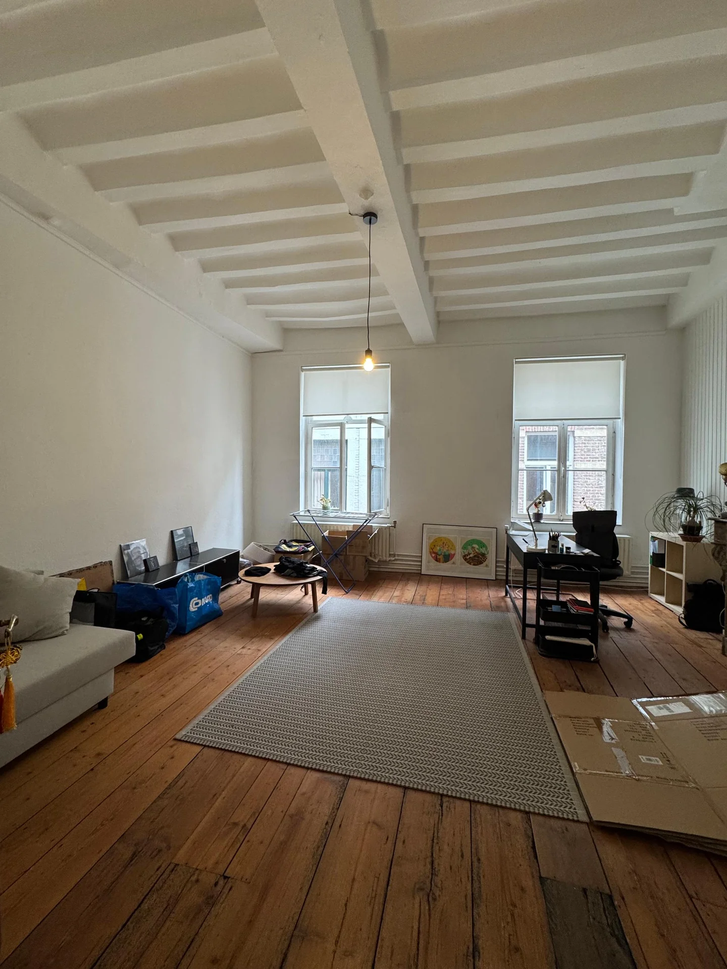 geblurde versie van de foto als achtergrond