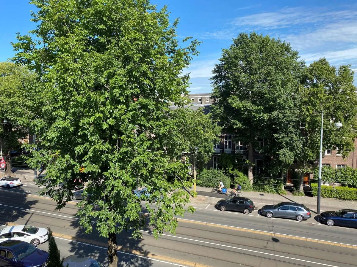 geblurde versie van de foto als achtergrond