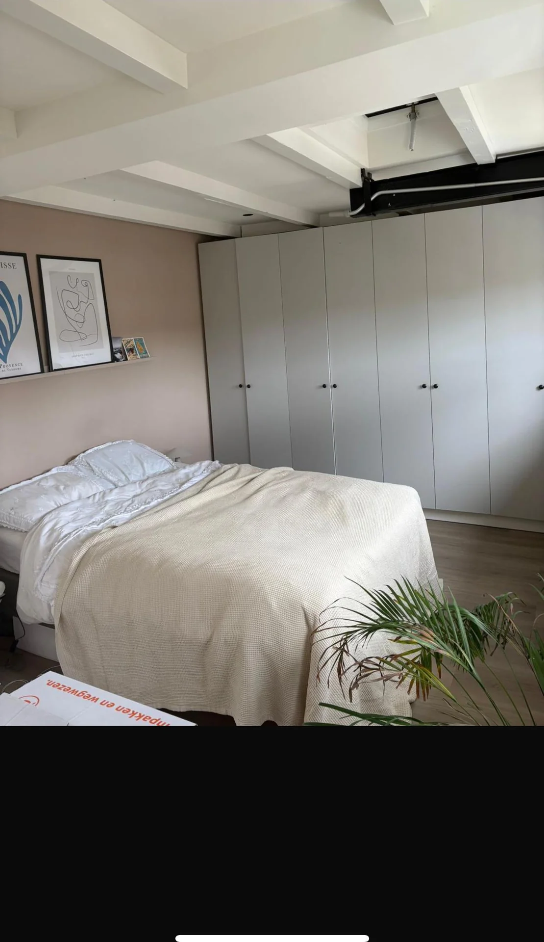 geblurde versie van de foto als achtergrond