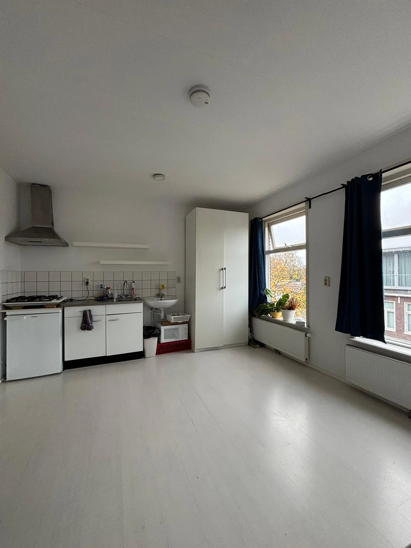 geblurde versie van de foto als achtergrond