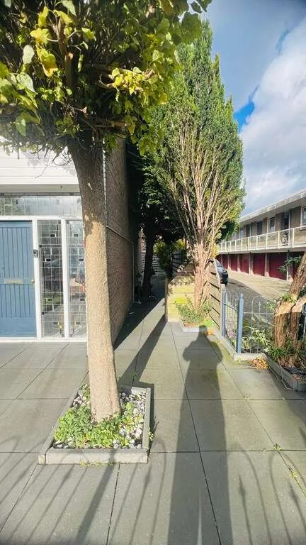 geblurde versie van de foto als achtergrond