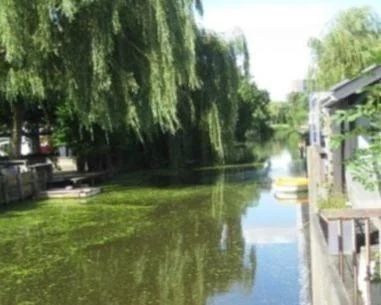 Foto van de Studio gelegen aan de Cycladenlaan in Amsterdam