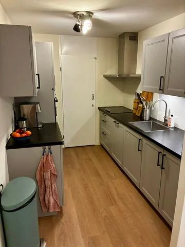 geblurde versie van de foto als achtergrond