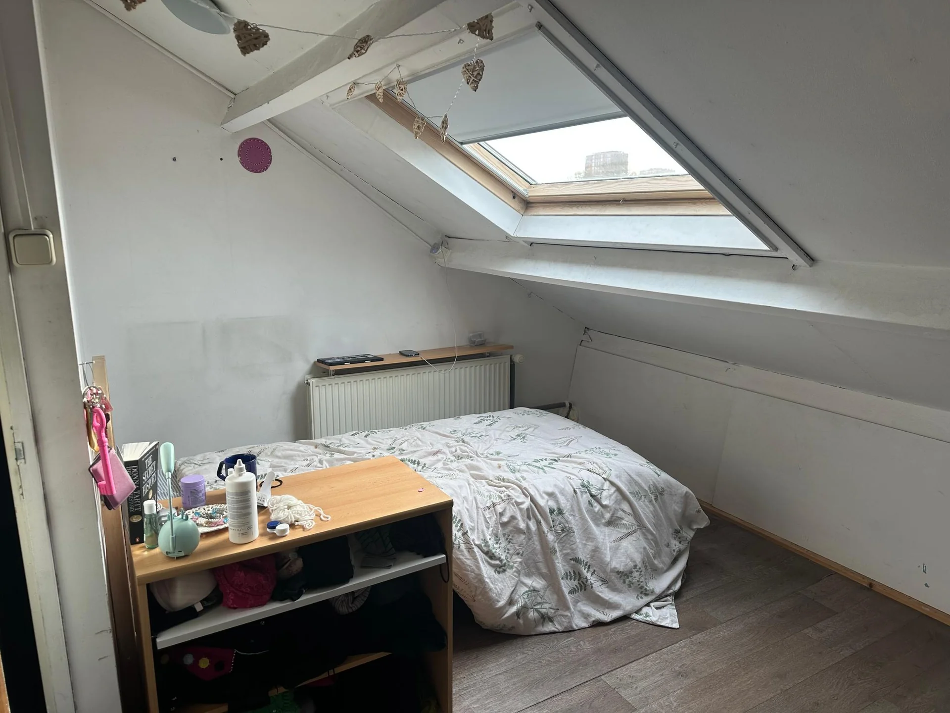 Foto van de Kamer gelegen aan de Louis Chrispijnstraat in Amsterdam