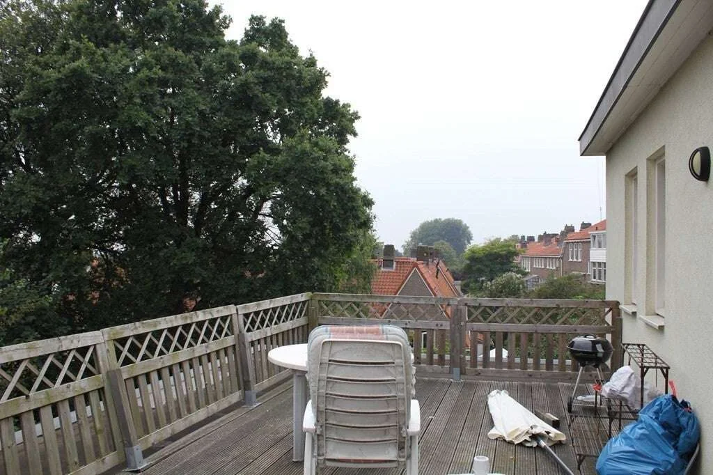 geblurde versie van de foto als achtergrond