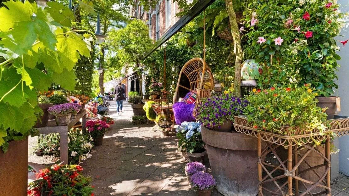 Foto van de Appartement gelegen aan de Cornelis Schuytstraat in Amsterdam