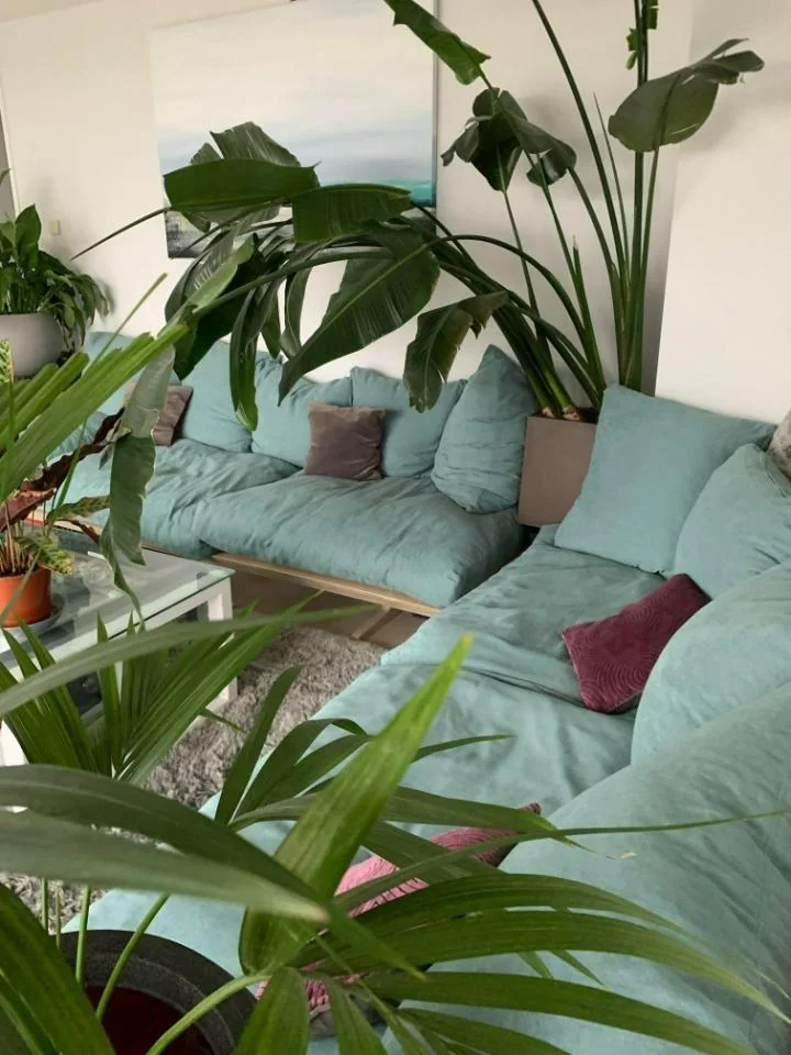 Foto van de Kamer gelegen aan de Jollemanhof in Amsterdam