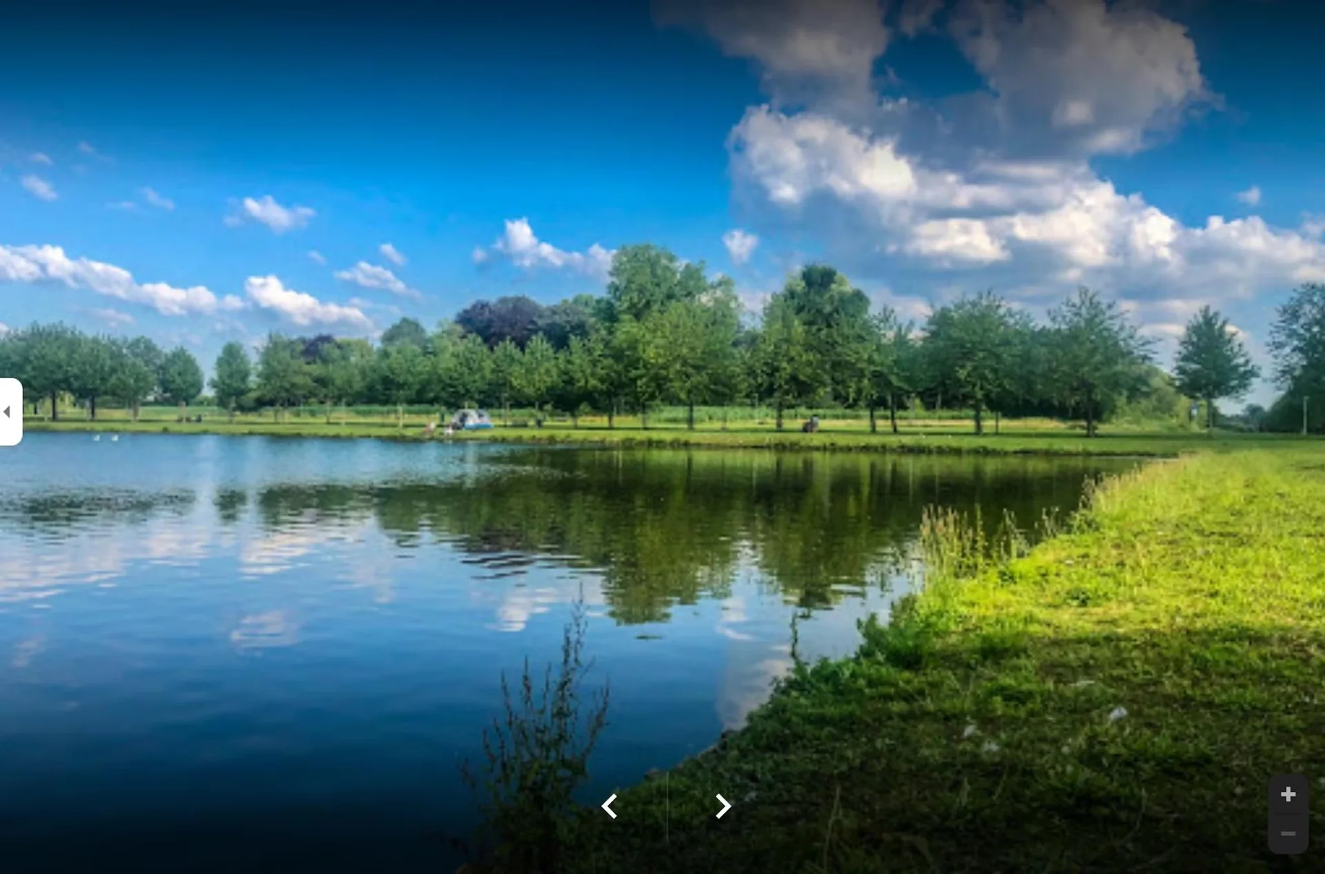 Foto van de Kamer gelegen aan de Prinsenlaan in Rotterdam
