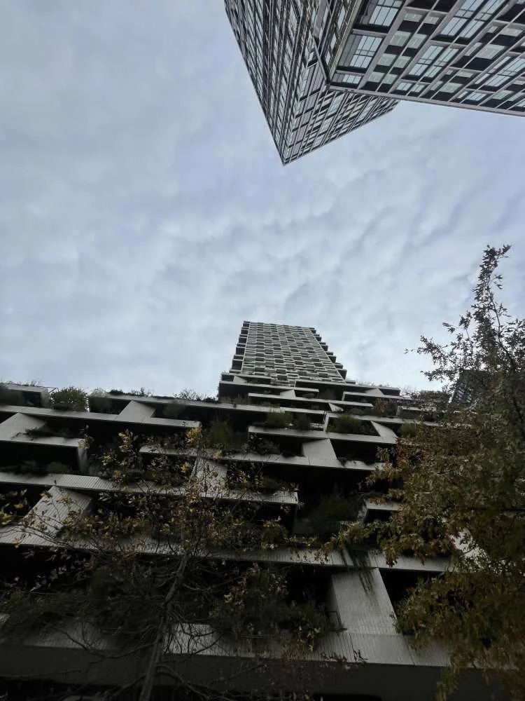 geblurde versie van de foto als achtergrond