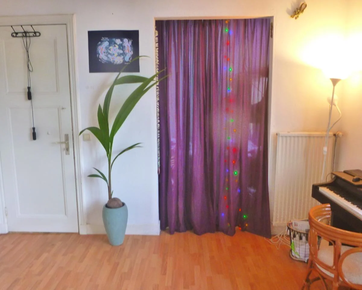 geblurde versie van de foto als achtergrond