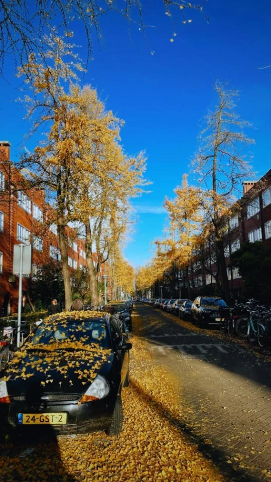 Foto van de Kamer gelegen aan de Vespuccistraat in Amsterdam