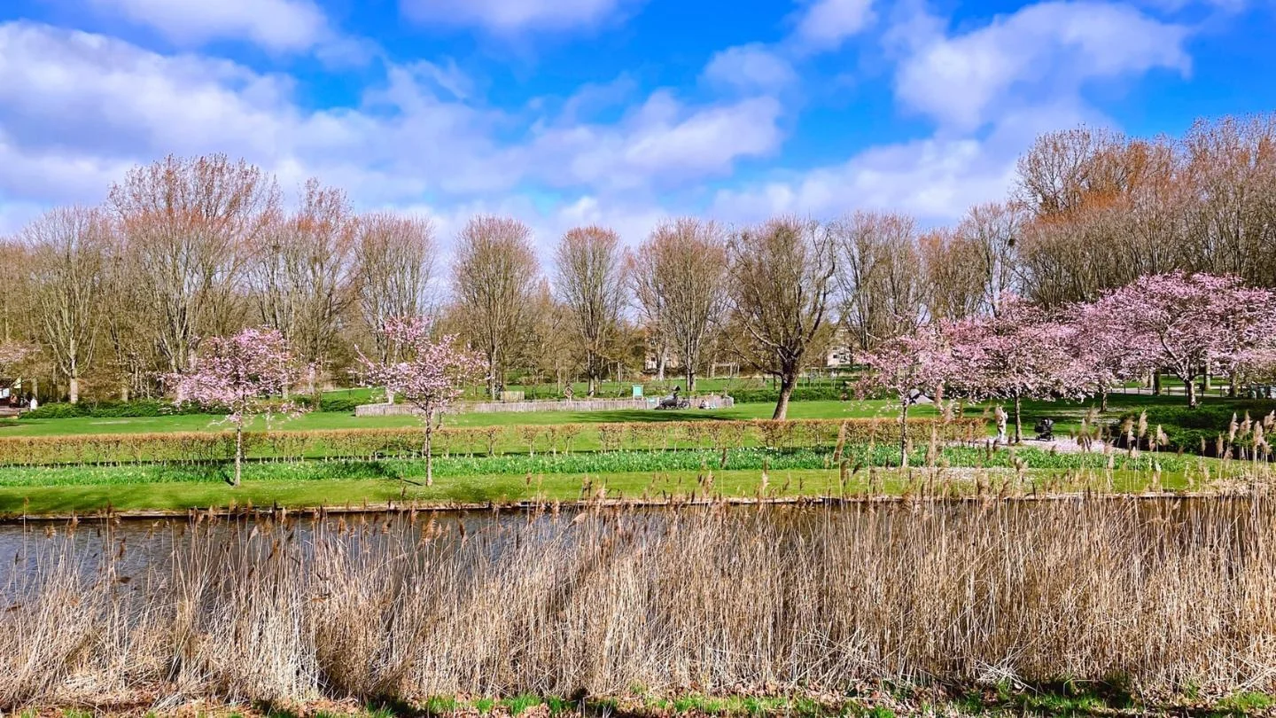 Foto van de Kamer gelegen aan de Vespuccistraat in Amsterdam