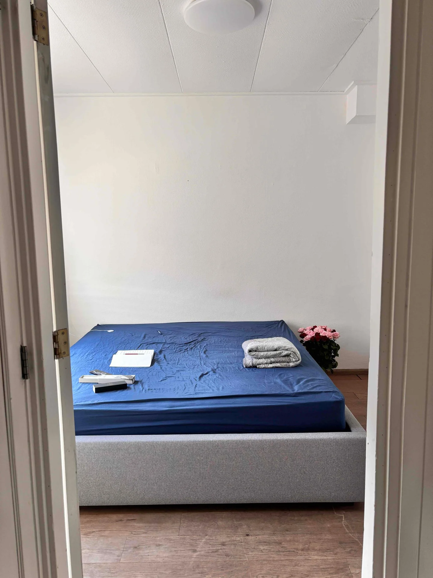 geblurde versie van de foto als achtergrond