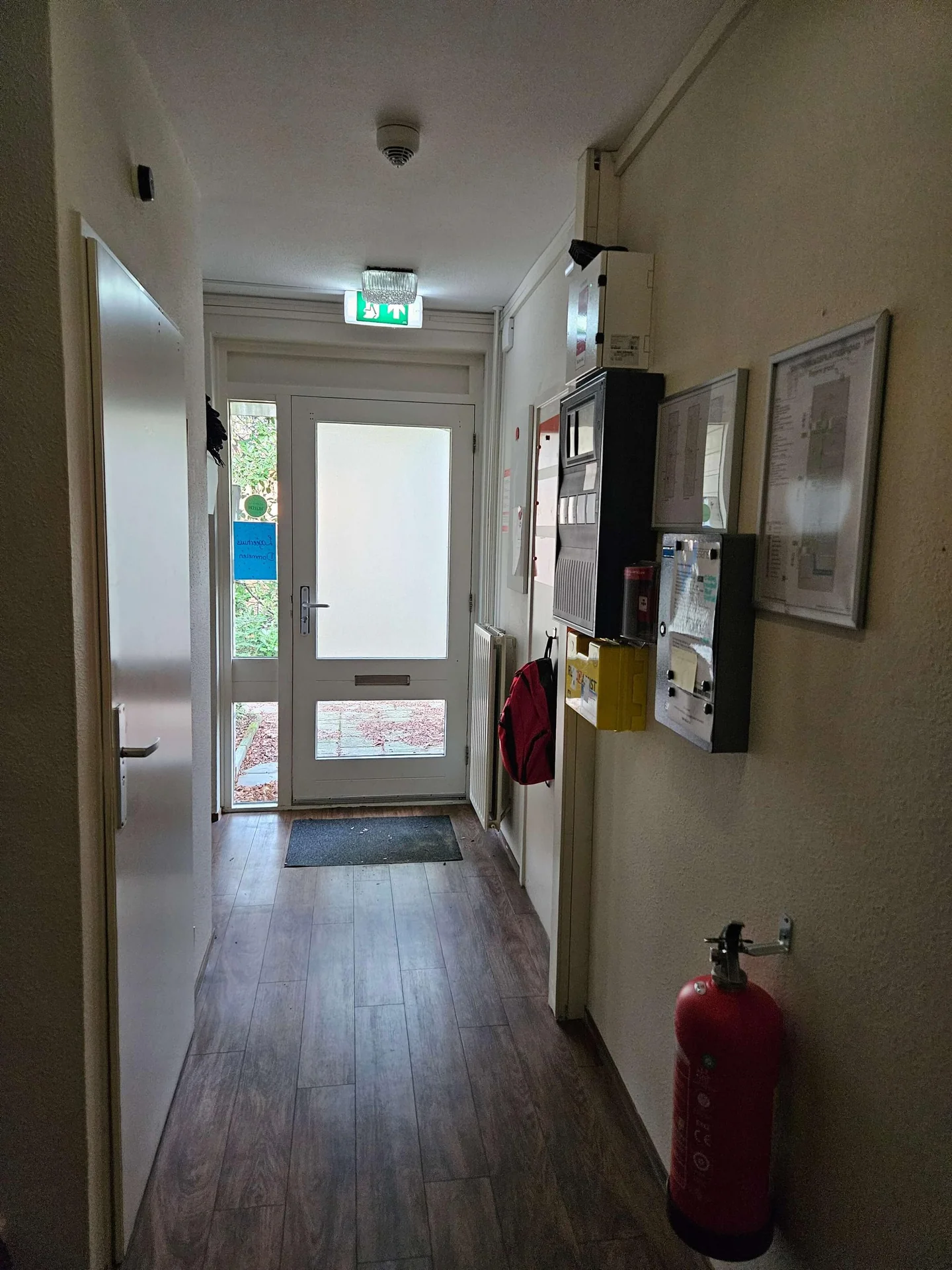 geblurde versie van de foto als achtergrond