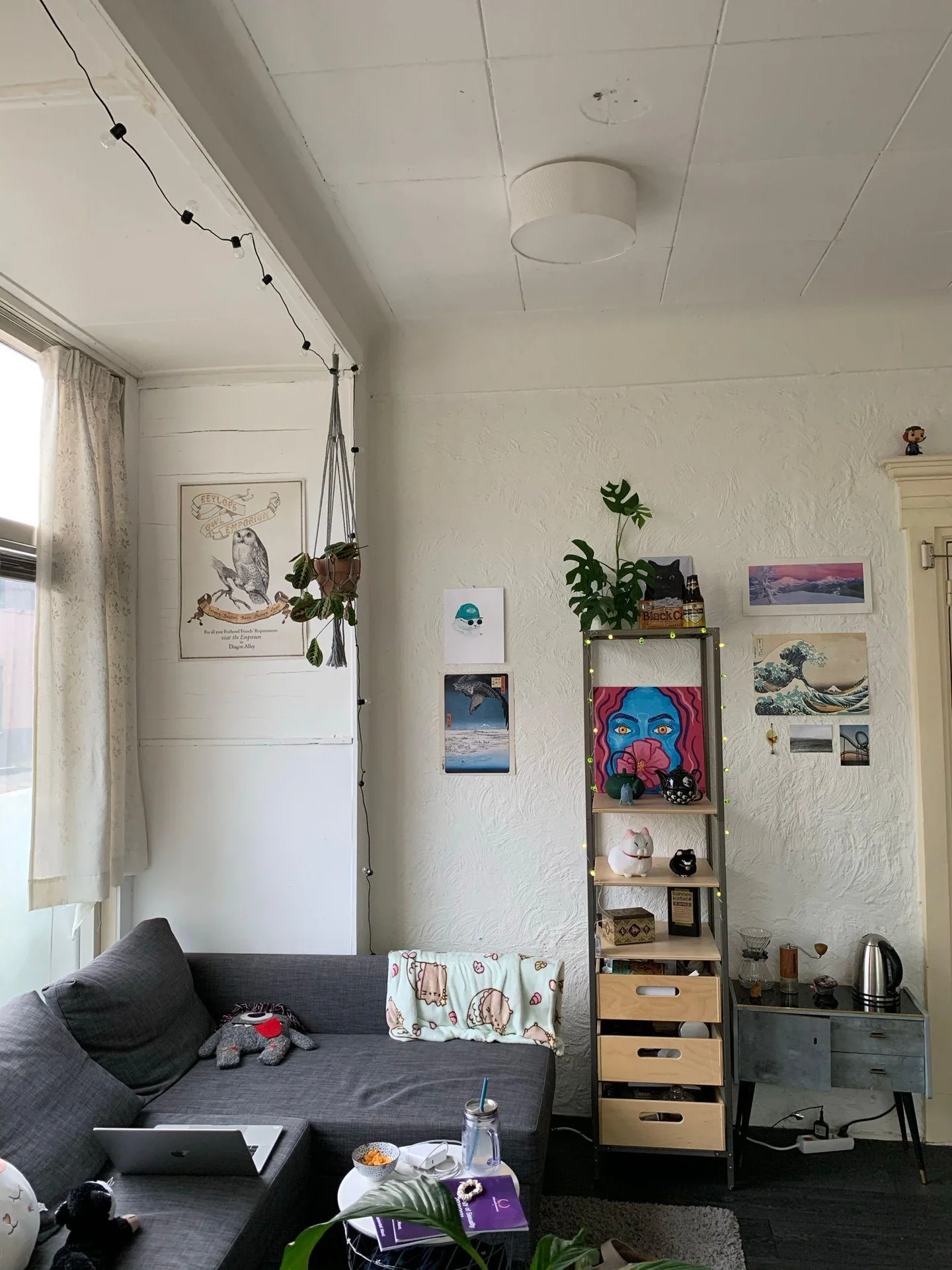 geblurde versie van de foto als achtergrond