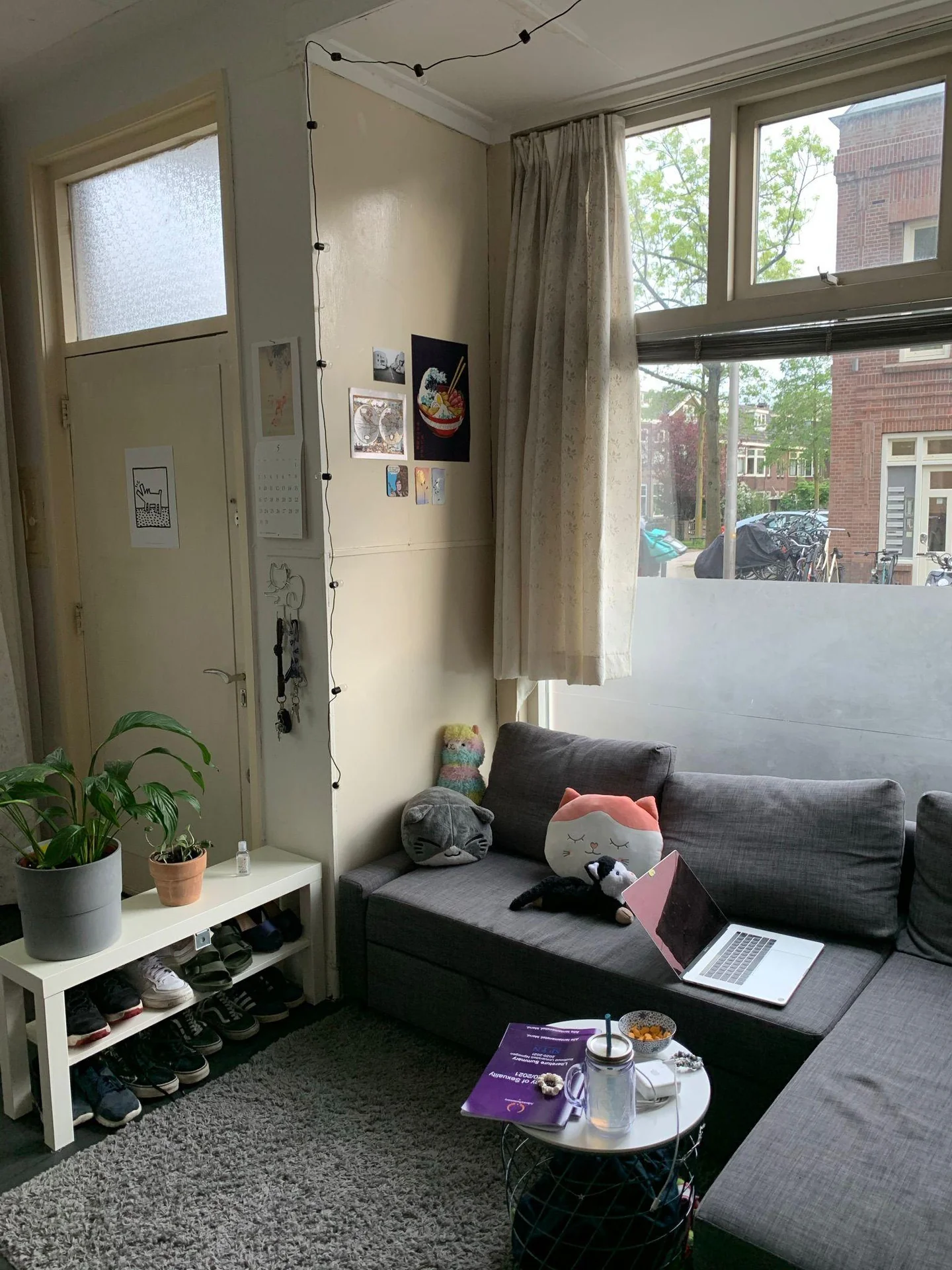 geblurde versie van de foto als achtergrond