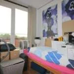 geblurde versie van de foto als achtergrond