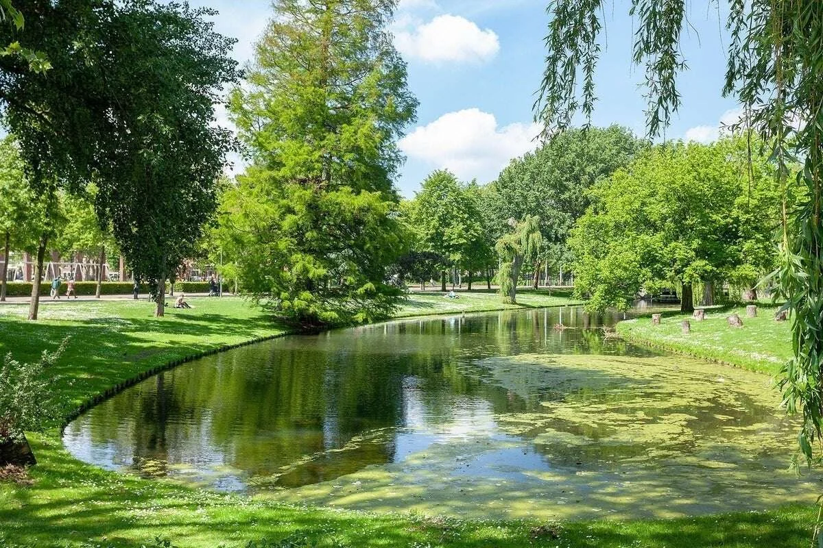 Foto van de Appartement gelegen aan de Nieuwe Binnenweg in Rotterdam
