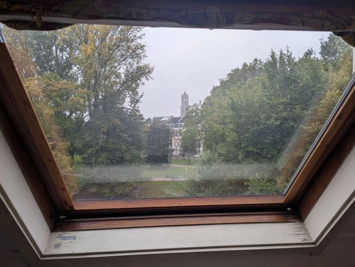 geblurde versie van de foto als achtergrond