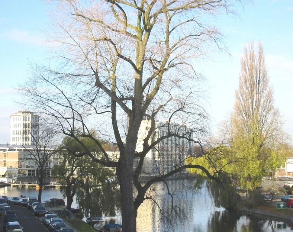 Foto van de Kamer gelegen aan de Amstelkade in Amsterdam