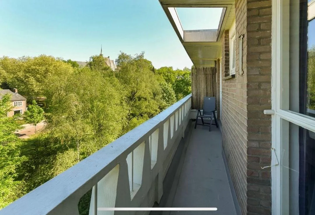 geblurde versie van de foto als achtergrond