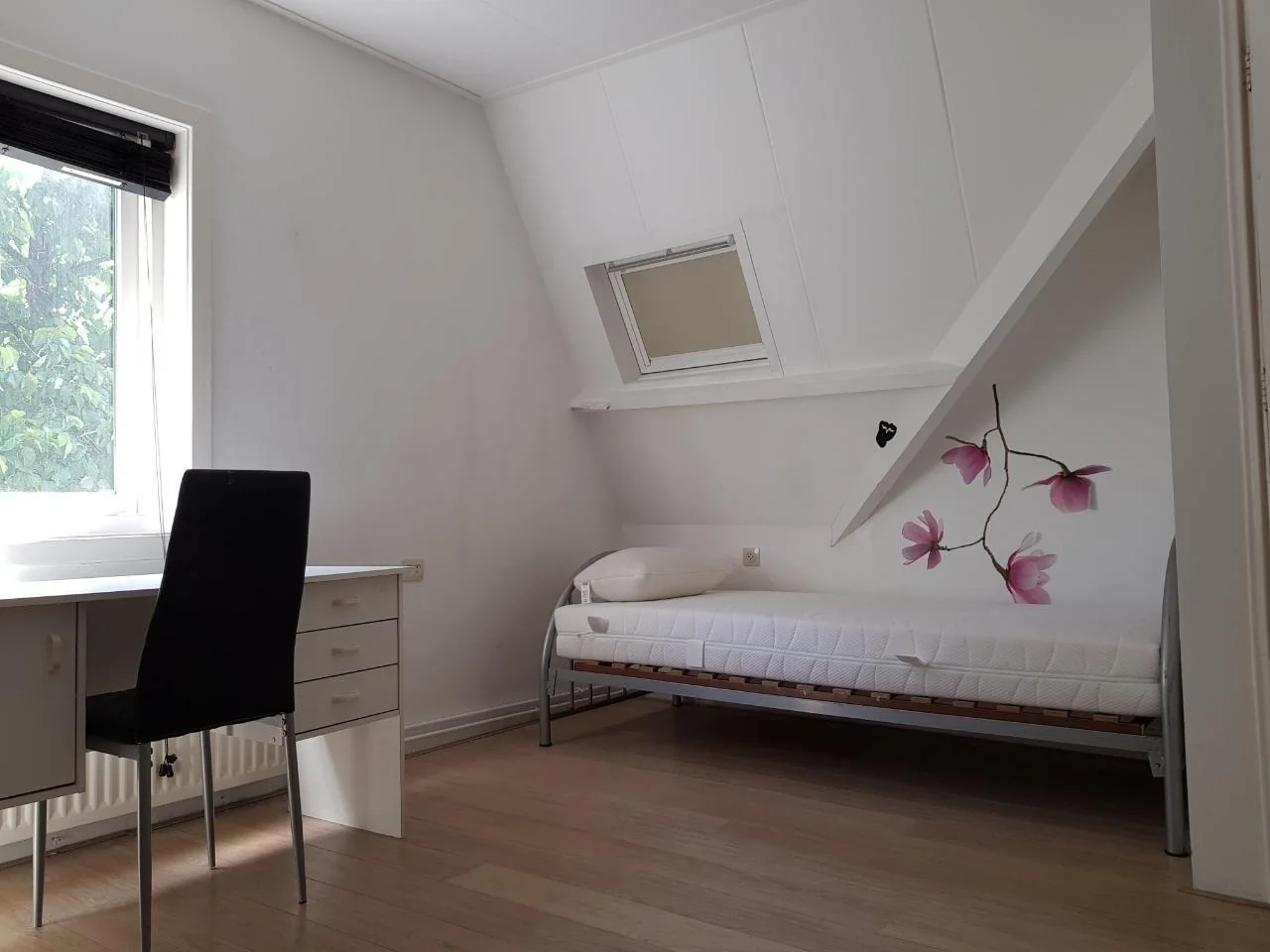 geblurde versie van de foto als achtergrond